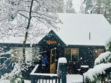 Coz Getaway Right in the middle of Twain Harte! Отели в г. Твейн Харт