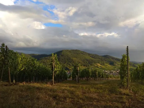 Loft vacation apartment near Baden-Baden Hotels in Bühl