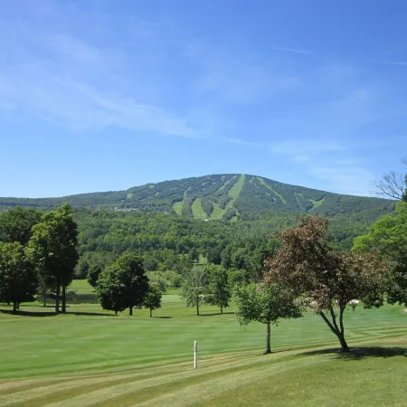 Beautiful Stratton Mountain Condo