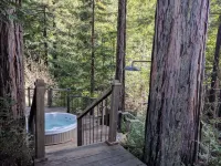 Luxury Redwoods Estate Compound w/ Hot Tub and Fire Pit