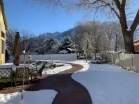 Private Luxury Retreat: In-home Theatre, Hot Tub, Gym, Game Room, and Zebra!