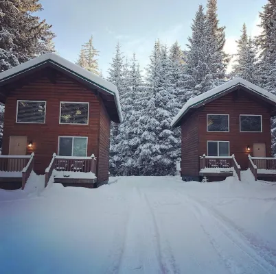 Aurora Skies Lodging - Private Cabin with Open Loft Bedroom - Sleeps 3-6