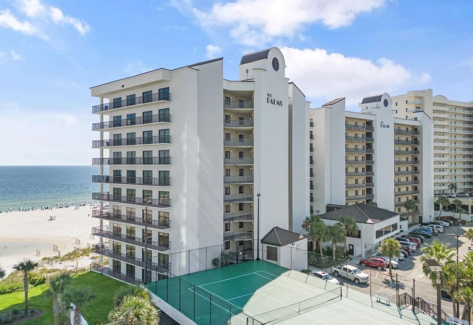 1. The Palm..