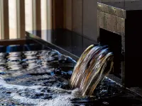 Dear Wan Spa Garden Hotels in Nagara