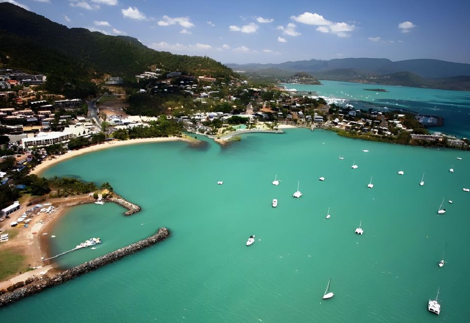 3. Airlie B..