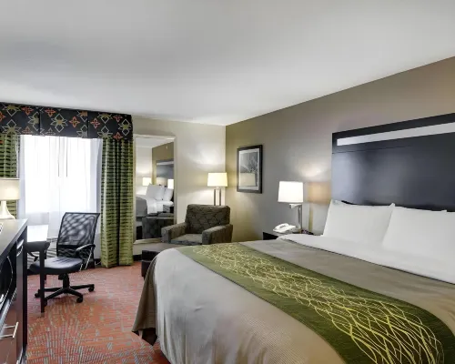 Comfort Inn Hotels in Painesville