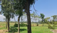 Le Tai Village Resort & Spa Hotels in Lamuria