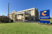 Comfort Inn & Suites Hotel di La Grange