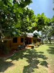 Kirindi Paddy Isle