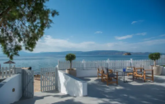 Bellevalia Hydra - Formerly Four Seasons Hydra