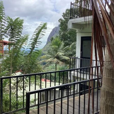 Viewfront Ella