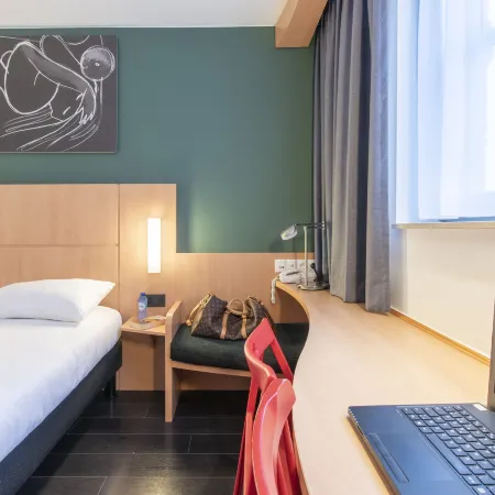 Ibis de Panne