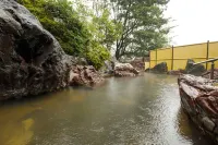 Wakamiro - Hot Springs