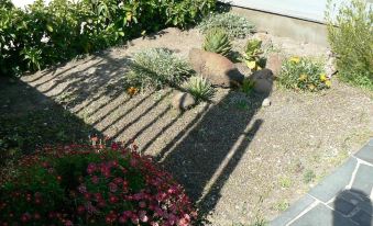 Etna Holiday Home,Studio Melograno