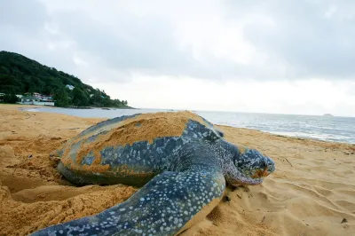 Trésor Caché d'Amazonie Oasis de Calme Hoteles en 