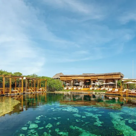 Hotel Shibari - Restaurant & Cenote Club