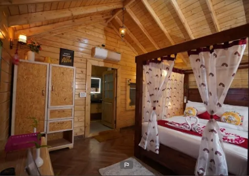 DSR木質小屋