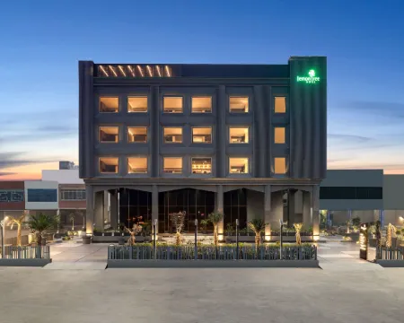 Lemon Tree Hotel, Hisar Hotels in Hisar