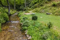 Charming Log Cabin with Fire Pit and Covered Decks - Cozy Mountain Retreat