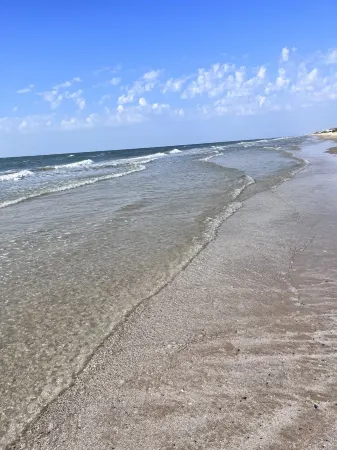 Oceanfront Serene Coastal Escape in Crystal Beach, TX: Yellow Daisy by the Sea
