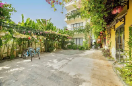 เจด ฮอยอัน ไรซ์ แพดดี้ส์