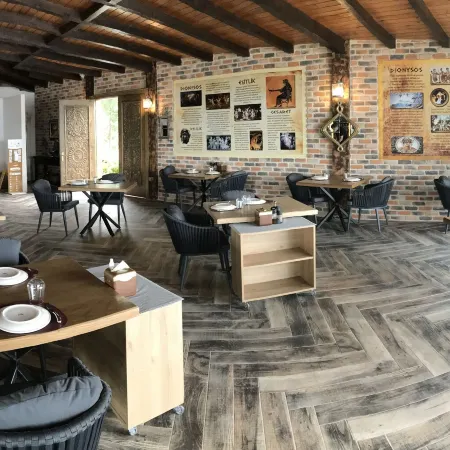 Assos Dionysos Special Class Hotel Adults Only 12 Years