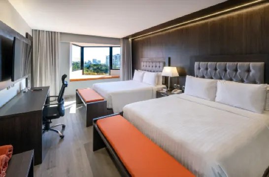 W&P サント ドミンゴ