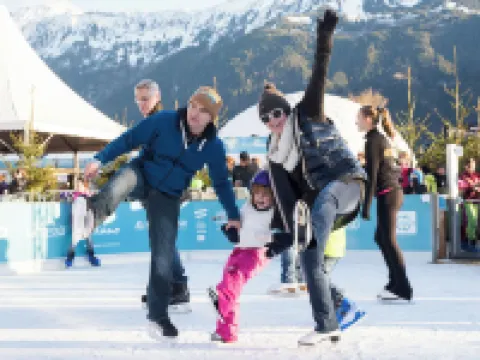 Jungfrau Hotel Annex Alpine-Inn Hotels in Wilderswil