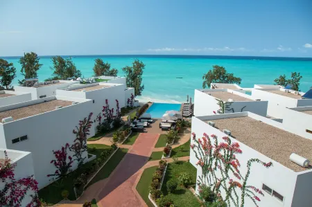 Nungwi Dreams by Mantis