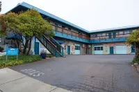 โฮสเทลคอมมอนส์แอชแลนด์