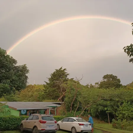 The Green Tree Lodge