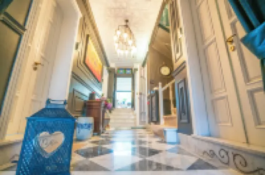 Siyah Lale Cunda 1841