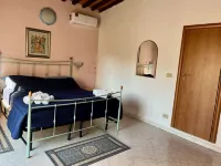 Apartment Tirreno Hotels near Bagno Tirrenia
