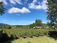Terres de France - Domaine des Vans Hotels in Chambonas
