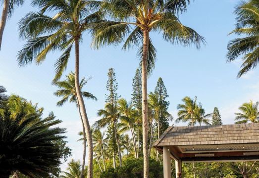 샤토 로열 객실