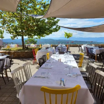 Foresta in Medias Mores