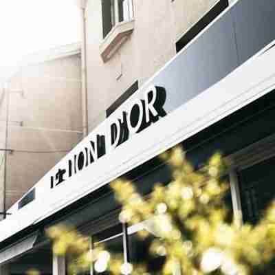 Hôtel Restaurant Brasserie Le Lion d'or Hotel Exterior