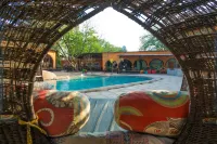 Jollyboys Backpackers and Camp - Pool