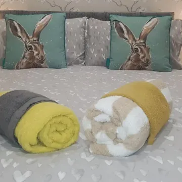 The Musical Ceol Cottage 1-Bedroom - Sleeps Four