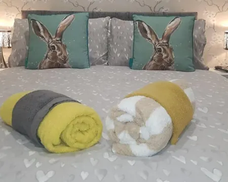 ザ ミュージカル セオル コテージ 1 ベッドルーム - スリープス フォー ダウンパトリックのホテル