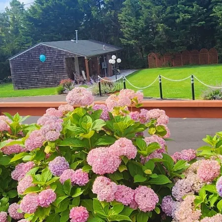 Sea Haven Resort Motel