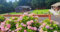 Sea Haven Resort Motel - Parkplatz