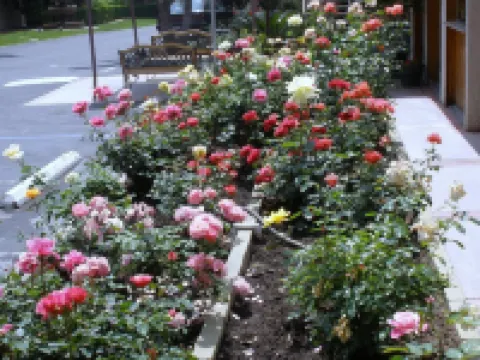 Garden Inn and Suites Glendora Hotels in Glendora