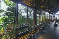 Amor Arenal Adults Friendly - Gym
