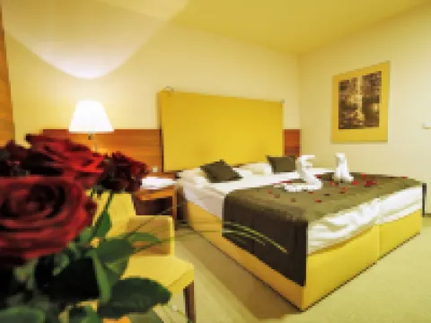Hotel AquaCity Mountain View Hotels in Poprad