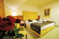 Hotel AquaCity Mountain View Hoteles en Poprad