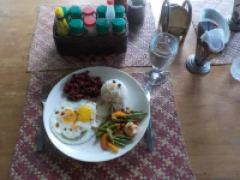 Sea Turtle House Moalboal