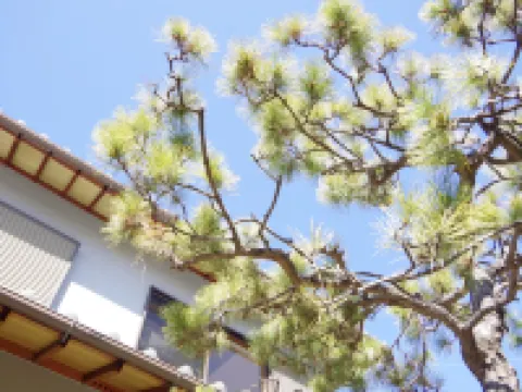 ゲストハウス BOND 島本町のホテル