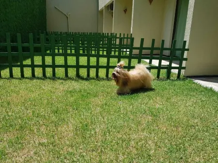 Hotel Santuário das Águias by Nobile