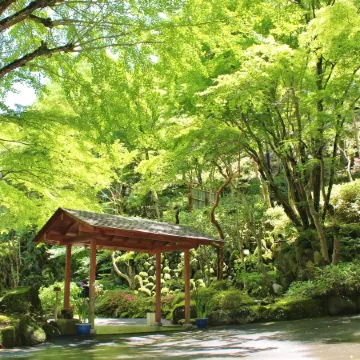 Sora Togetsusoukinryu